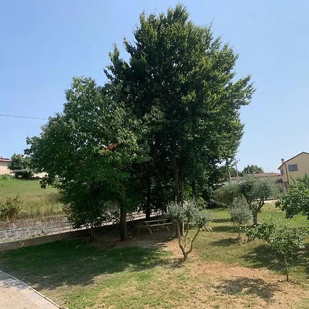Apartament Al Frutteto San Pietro Di Feletto